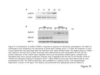 Figure S1