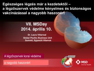 VII. MSDay 2014. április 10. Dr. Laura Villarreal