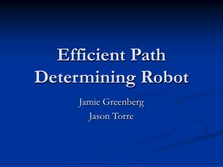 Efficient Path Determining Robot