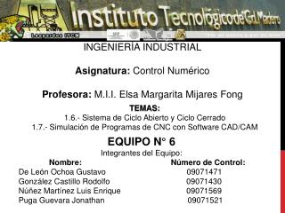 EQUIPO N° 6 Integrantes del Equipo: