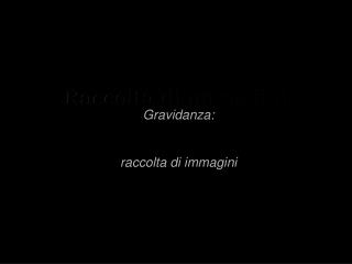 Raccolta di immagini