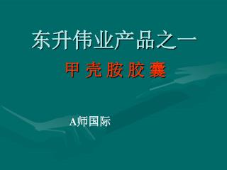 东升伟业产品之一