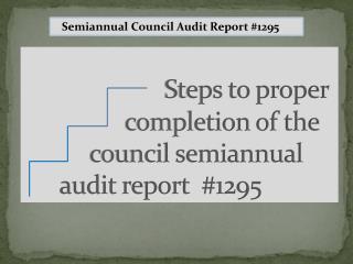 Semiannual Council Audit Report #1295