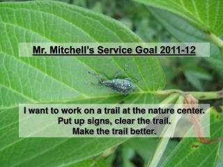 Mr. Mitchell’s Service Goal 2011-12