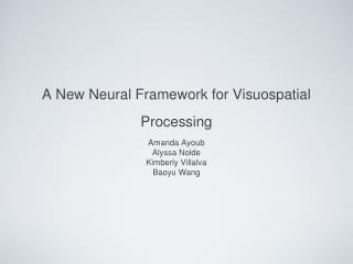 A New Neural Framework for Visuospatial Processing