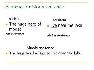 Sentence or Not a sentence