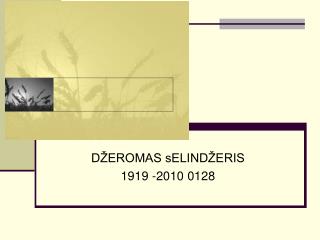 DŽEROMAS sELINDŽERIS 1919 -2010 0128