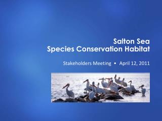 Salton Sea Species Conservation Habitat