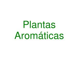 Plantas Aromáticas