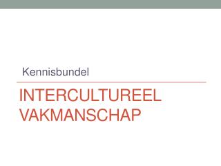 Intercultureel Vakmanschap