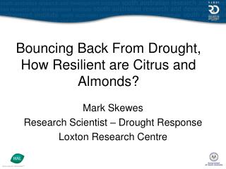 Bouncing Back From Drought, How Resilient are Citrus and Almonds?