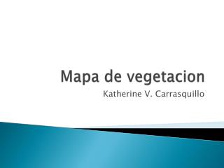 Mapa de vegetacion