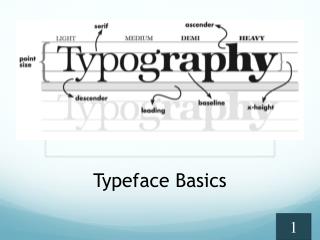 Typeface Basics