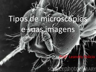 Tipos de microscópios e suas imagens