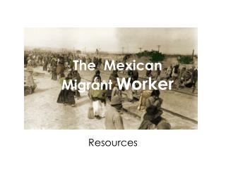 The Mexican Migrant Worker
