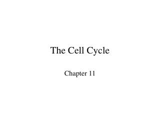 The Cell Cycle