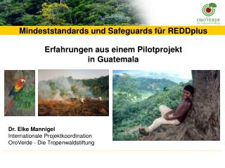 Mindeststandards und Safeguards für REDDplus Erfahrungen aus einem Pilotprojekt in Guatemala