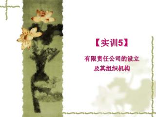 【 实训 5】 有限责任公司的设立 及其组织机构