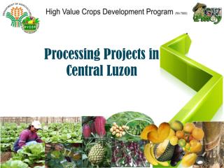 Processing Projects in Central Luzon