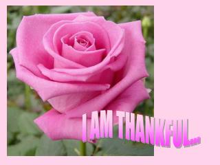 I AM THANKFUL...