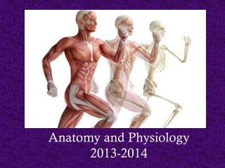 Anatomy and Physiology 2013-2014