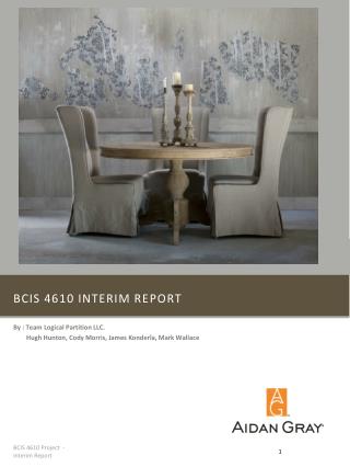 BCIS 4610 Interim report