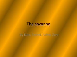 The savanna