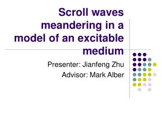 Scroll waves meandering in a model of an excitable medium