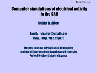 Computer simulations of electrical activity in the SAN