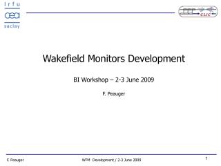 Wakefield Monitors Development BI Workshop – 2-3 June 2009 F. Peauger