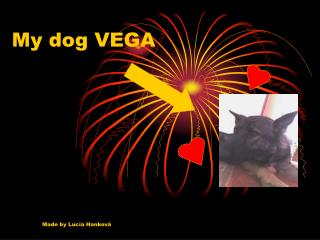 My dog VEGA