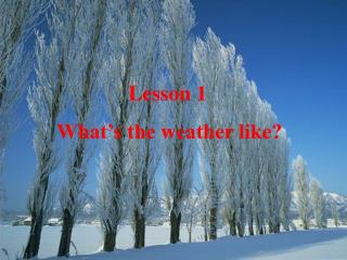 Lesson 1 What’s the weather like?