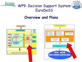 WP9: Decision Support System EuroDeSS