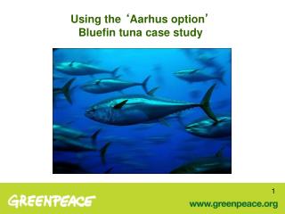 Using the ‘ Aarhus option ’ Bluefin tuna case study