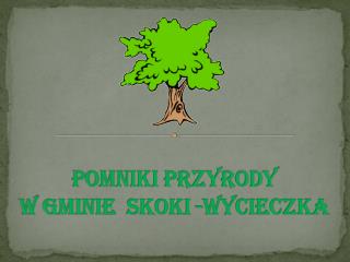 POMNIKI PRZYRODY W GMINIE SKOKI -WYCIECZKA