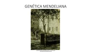 GENÉTICA MENDELIANA