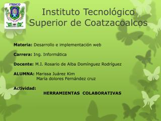 Instituto Tecnológico Superior de Coatzacoalcos