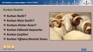 - Kurban İbadeti