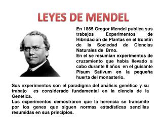 LEYES DE MENDEL