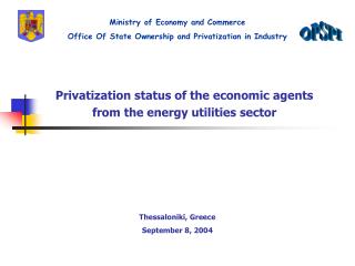 Privatization status of the economic agents from the energy utilities sector