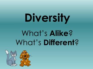 Diversity What’s Alike ? What’s Different ?