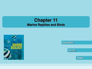 Chapter 11 Marine Reptiles and Birds