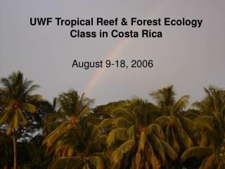 UWF Tropical Reef &amp; Forest Ecology Class in Costa Rica