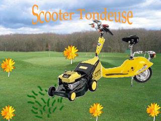 Scooter Tondeuse