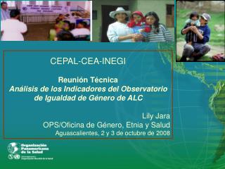 CEPAL-CEA-INEGI Reunión Técnica