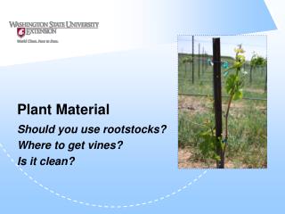 Plant Material