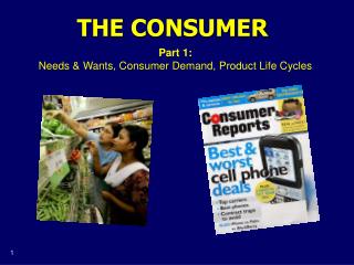 THE CONSUMER