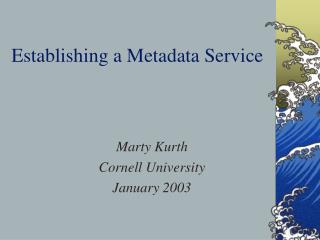 Establishing a Metadata Service