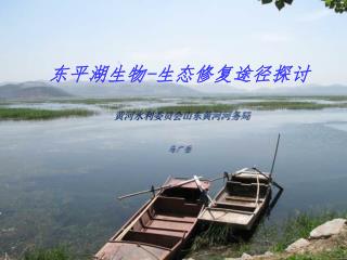 东平湖生物 - 生态修复途径探讨 黄河水利委员会山东黄河河务局　 马广岳