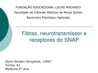 Fibras, neurotransmissor e receptores do SNAP